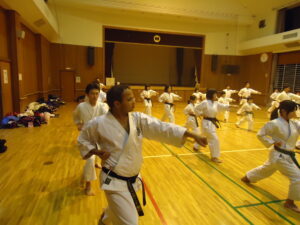 Naresh_karatedo_japan