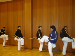 Naresh_karatedo_japan