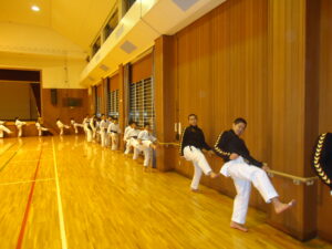 Naresh_karatedo_japan