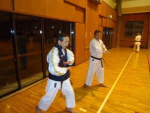 Naresh_karatedo_japan