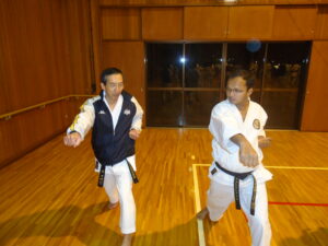 Naresh_karatedo_japan